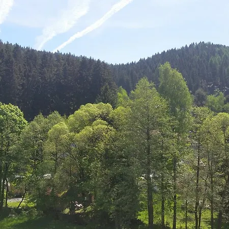 Hotel Hotel-pension Dressel 3*