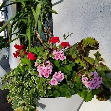 Hotel-pension Dressel 3* Warmensteinach