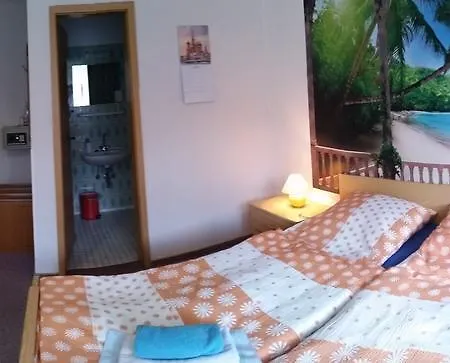 Hotel-pension Dressel 3* Warmensteinach