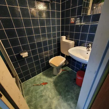 Hotel-pension Dressel Warmensteinach