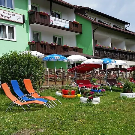 Отель Hotel-pension Dressel 3*