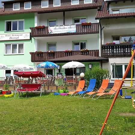 Отель Hotel-pension Dressel 3*