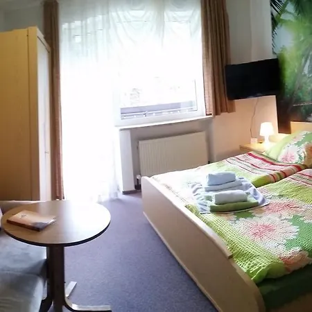 Hotel-pension Dressel Hotel Warmensteinach