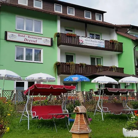 Отель Hotel-pension Dressel 3*