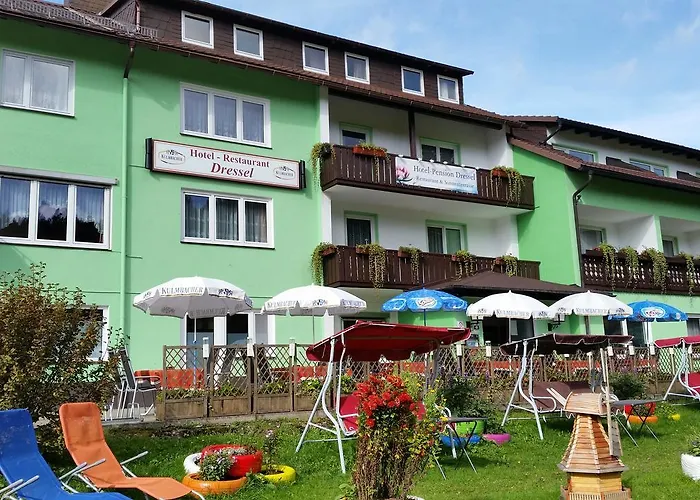 Hotel-pension Dressel 3* Warmensteinach